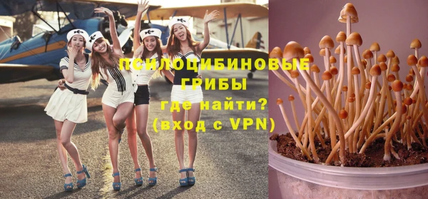 бутират Лагань
