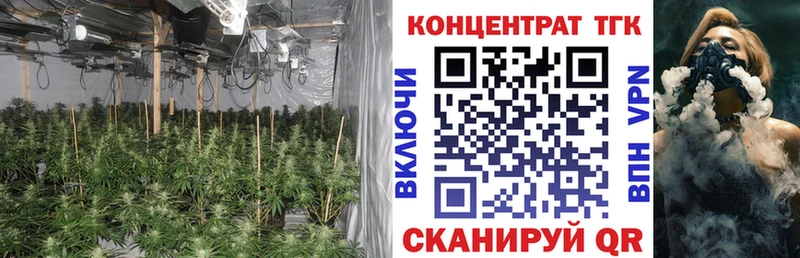 Купить  Петухово  ТГК жижа 