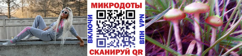 Купить где  Петухово  Галлюциногенные грибы MAGIC MUSHROOMS 